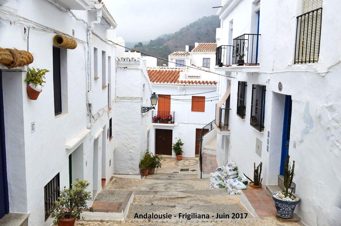 579 - Frigiliana.JPG
